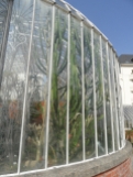 Jardin des Plantes - Nantes et retour (24)