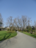 Jardin des Plantes - Nantes et retour (8)